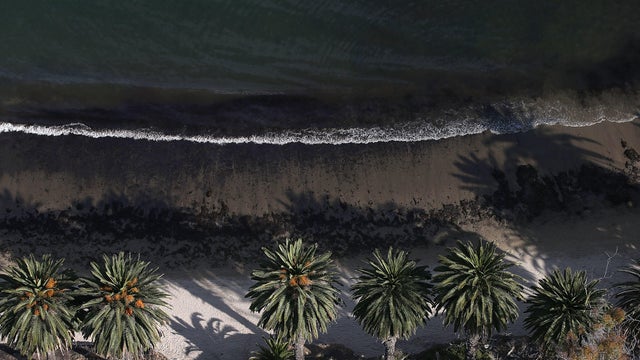 California Declares State Of Emergency As Oil Spill Harms Pristine Coastline 