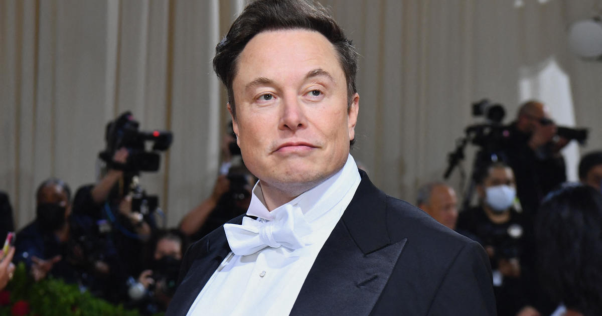 Elon Musk had twins last year with one of his top executives, report says
