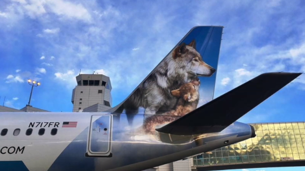 baby born on flight (frontier airlines)2 copy 