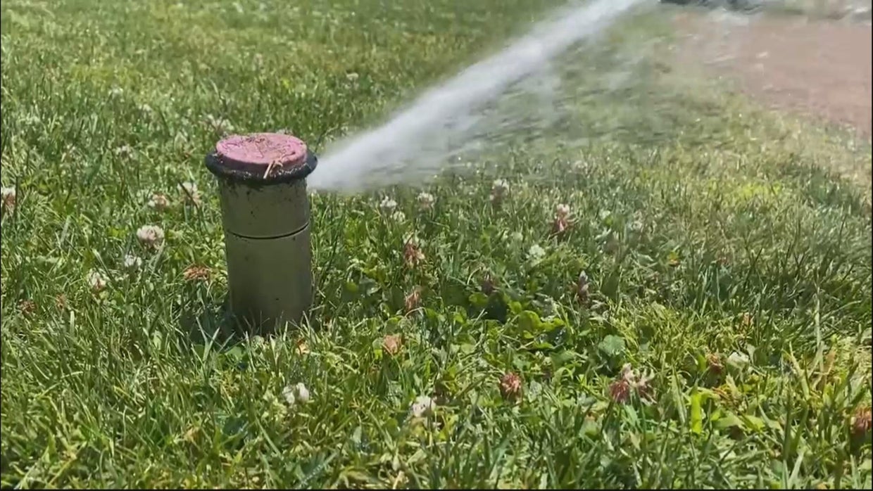 Douglas County homeowners under Stage 1 water restrictions - CBS Colorado