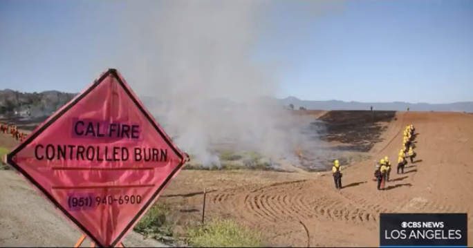 Hundreds of local firefighters practice fire control in Riverside ...