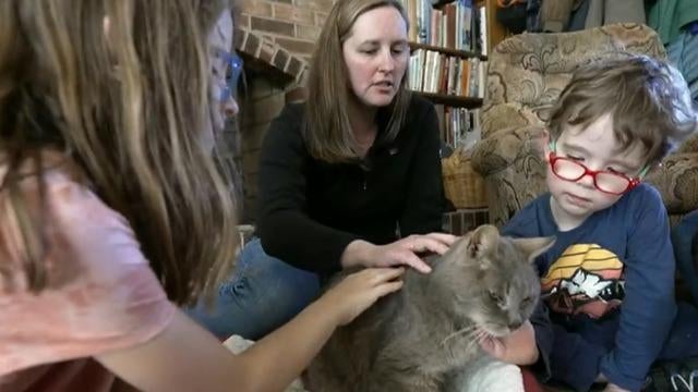 cbsn-fusion-cat-reunited-with-owners-16-years-after-running-away-thumbnail-1022194-640x360.jpg 