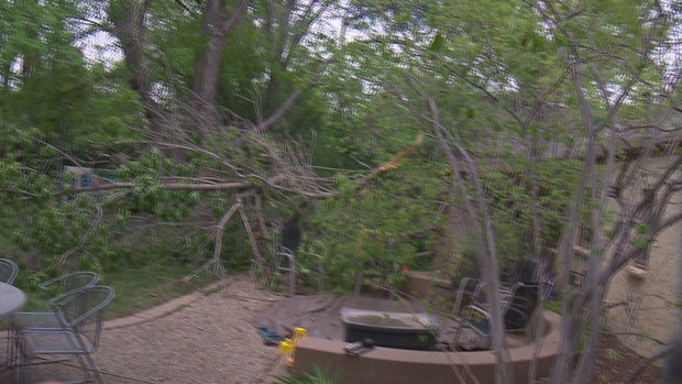 METRO TREE DAMAGE CLEANUP RMC 01 ENG-0821619 concatenated 132834_frame_13437 (1) 