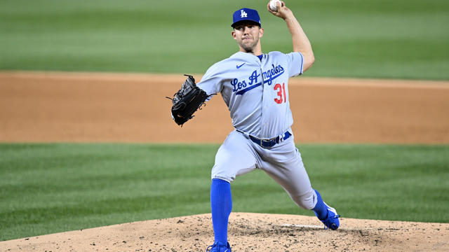 Los Angeles Dodgers v Washington Nationals 