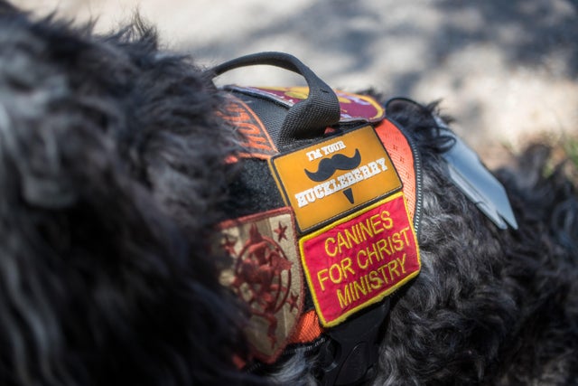 Uvalde school shooting 