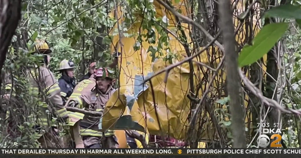 FAA expected to investigate plane crash in Elizabeth Township CBS