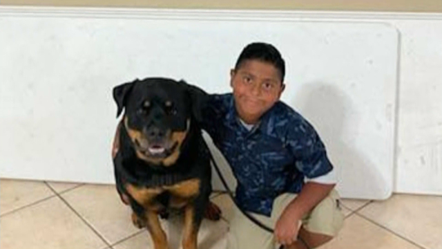 23PKG_KC_NJ-CANINES-TO-TEXAS.transfer_frame_703.png 