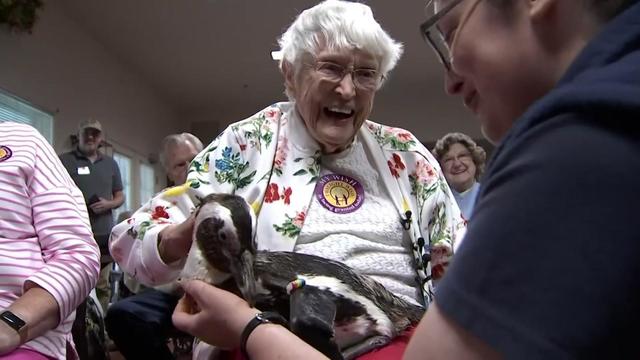 Bertha Komor, age 104, got to hold a penguin thanks to Twilight Wish Connecticut. 
