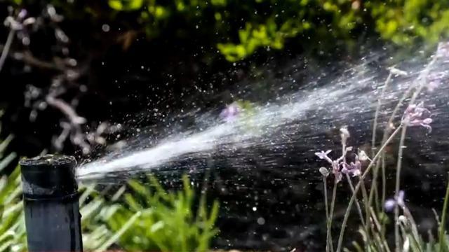 cbsn-fusion-california-imposes-harsh-restrictions-on-water-use-amid-historic-drought-thumbnail-1048586-640x360.jpg 