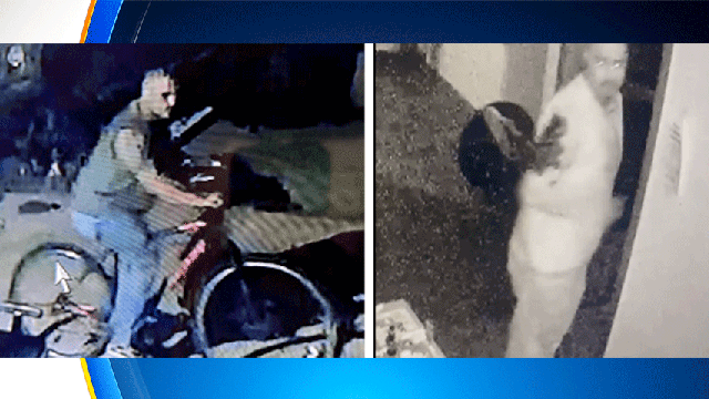 burglar1.gif 