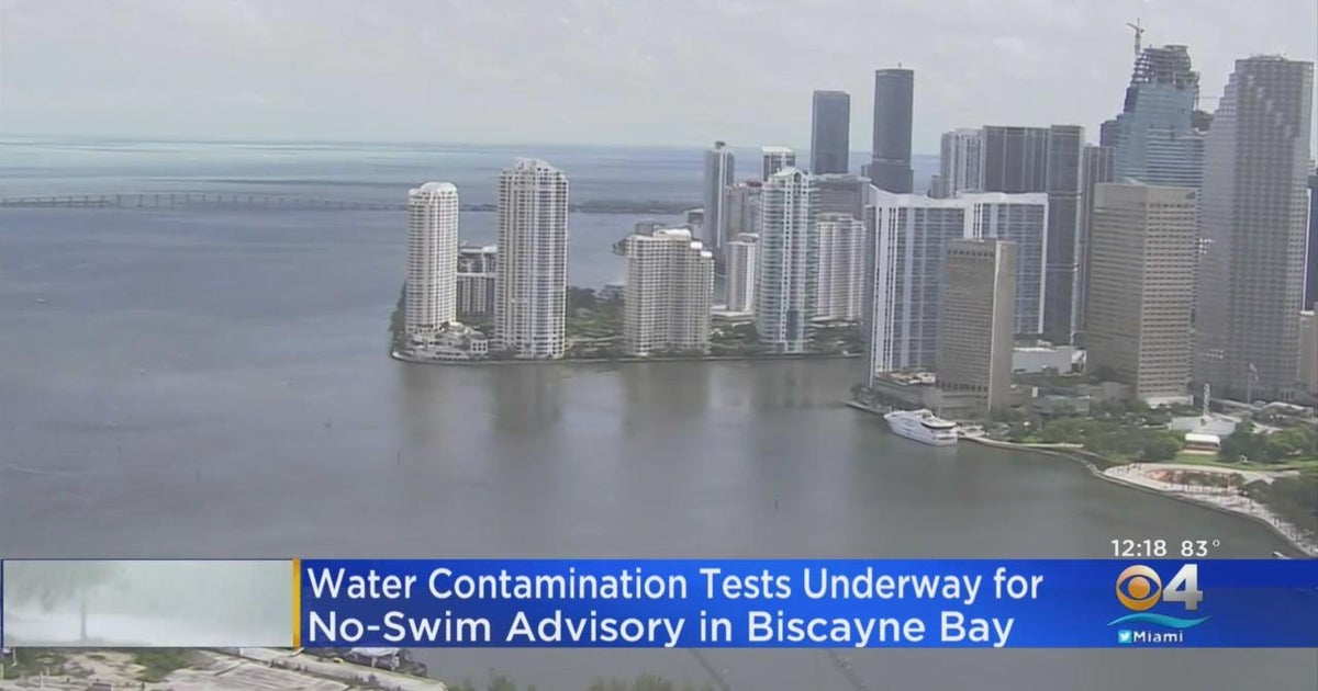 Water contamination tests in Biscayne Bay CBS Miami