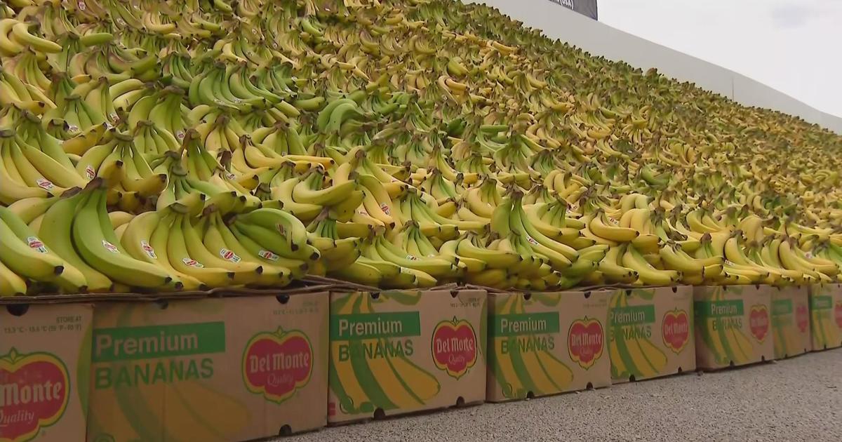 Banana - Ripe (Bunch) – MK Local Foods