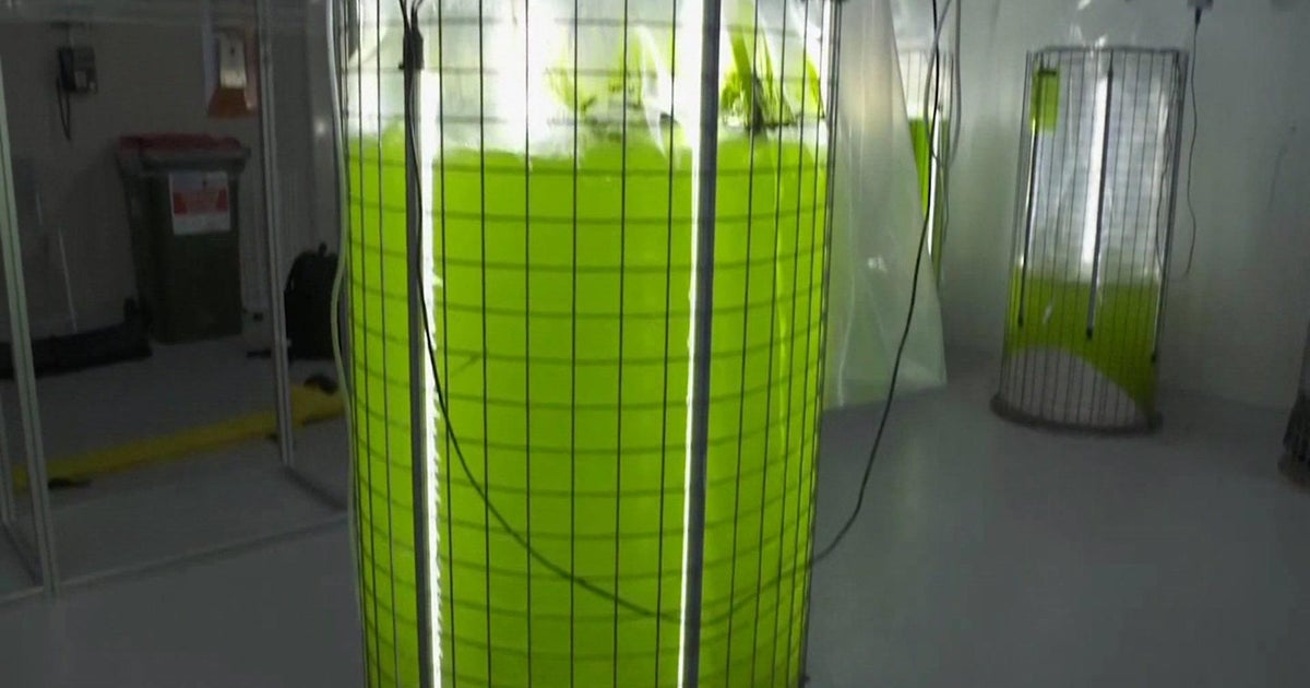 New robot that can help fight climate change unveiled just in time for World Oceans Day