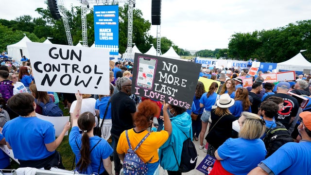 Gun Control Rally