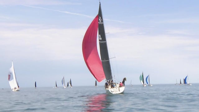 regatta.jpg 