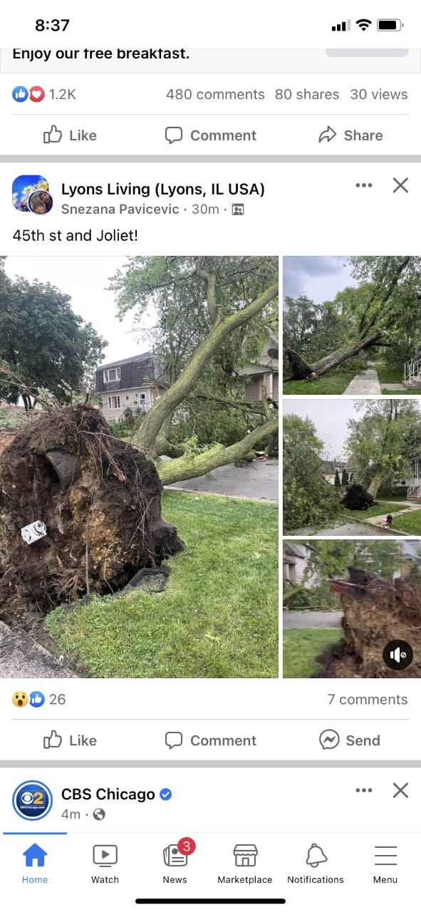 Severe storms bring down trees, damage buildings, knock out power to ...