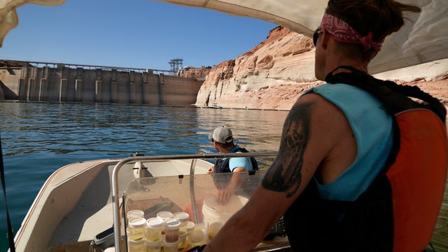 Colorado River Imperiled Fish 
