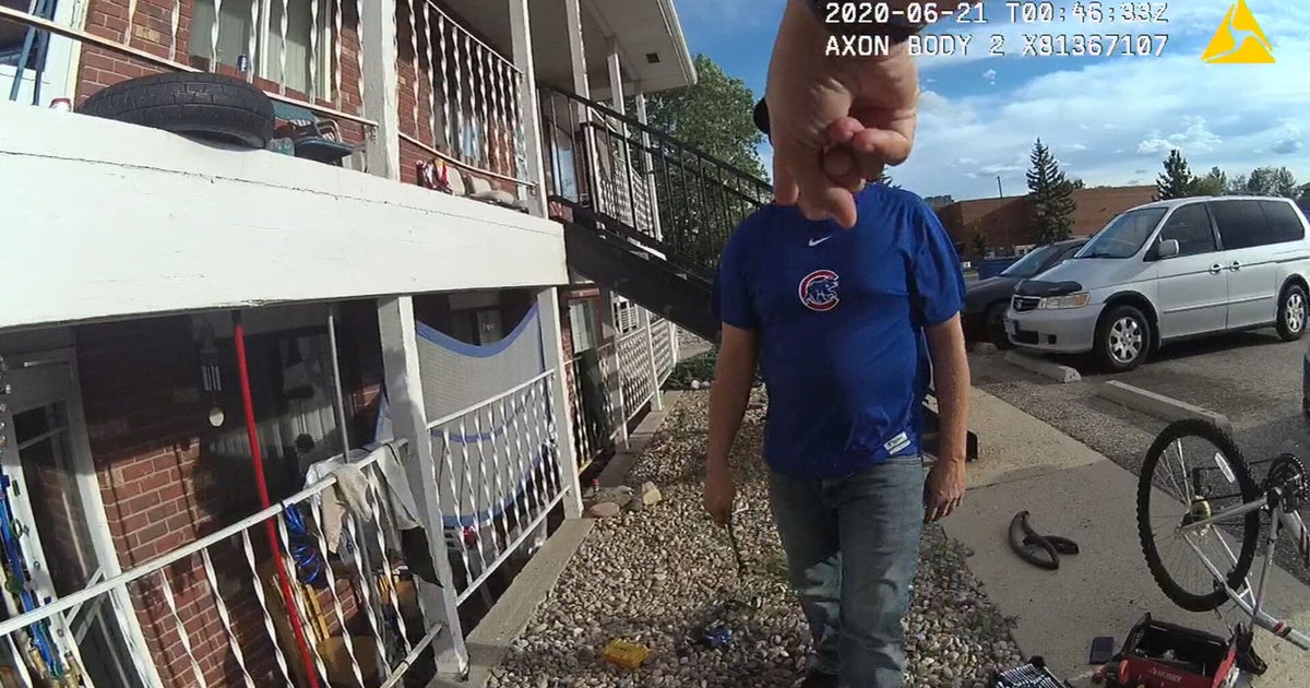Father Files Excessive Force Lawsuit Against Loveland PD CBS Colorado