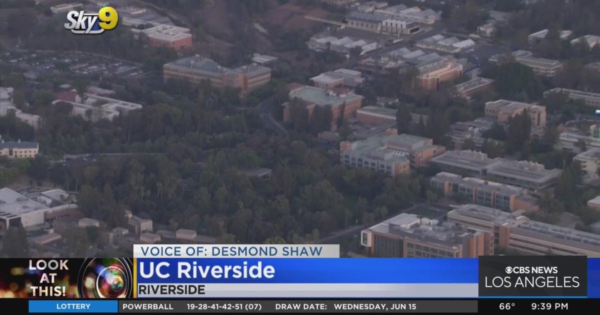 Look At This UC Riverside CBS Los Angeles