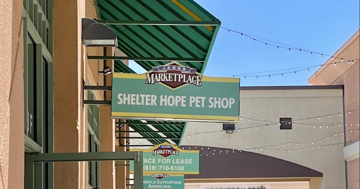 shelter hope pet shop thousand oaks reviews