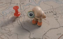 Meet Marcel, a tiny shell - and now a big movie star 