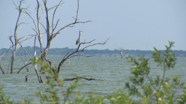 lake-lavon-search-4.jpg