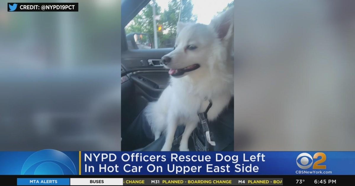 NYPD officers rescue dog left in hot car on Upper East Side - CBS New York