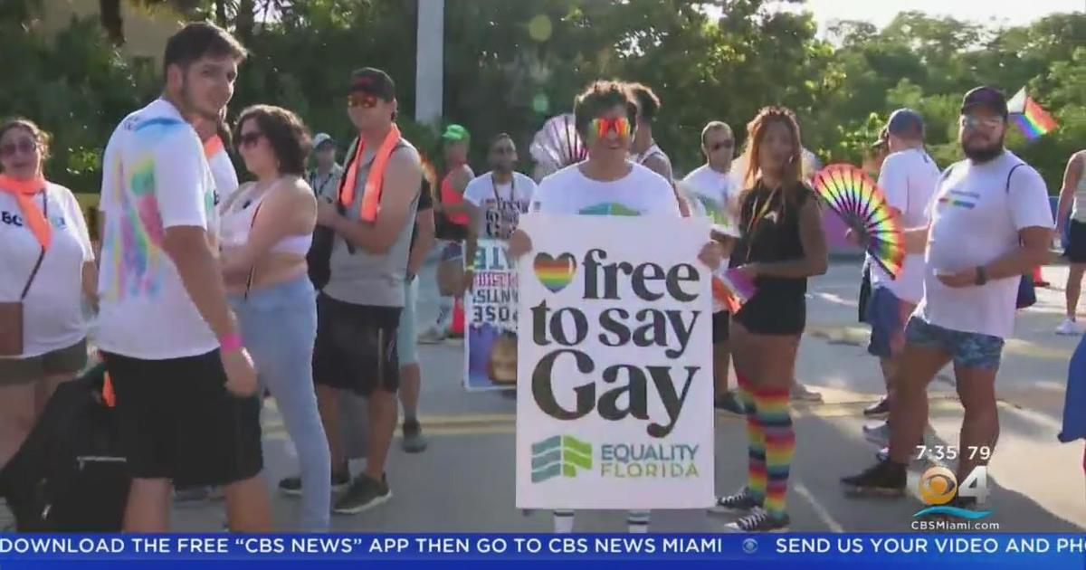 Stonewall Festival a success as thousands flock to Wilton Manors for annual event