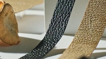 Fungus fashion: Mushrooms used as alternative to animal leather 