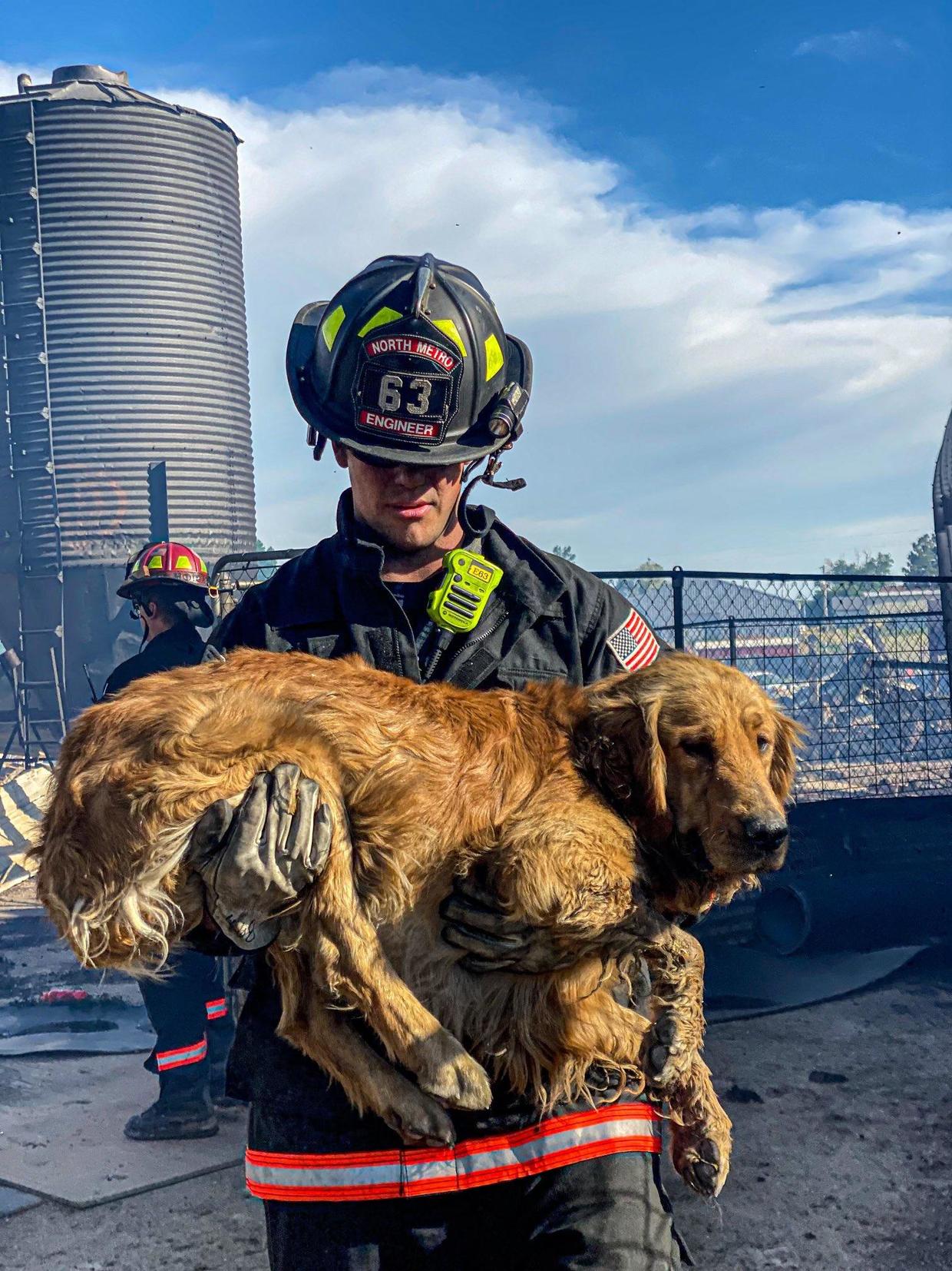 North Metro Firefighters rescue dogs from fire near Broomfield - CBS ...