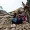 Powerful earthquake kills more than 1,000 people in Afghanistan