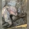 Rare mummified baby woolly mammoth found in Canada