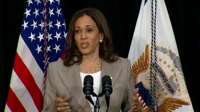 Vice President Harris Joins Labor Secretary Walsh For Rally 
