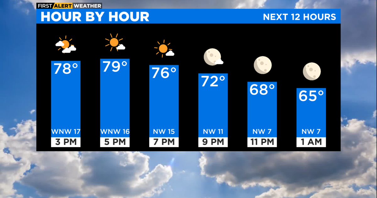 Barstool Chicago on X: This week's forecast: BEAR WEATHER https