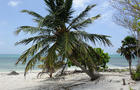From Mahahual to Xcalac empty wild beaches. Mahahual. Quintana Roo. Mexico. 