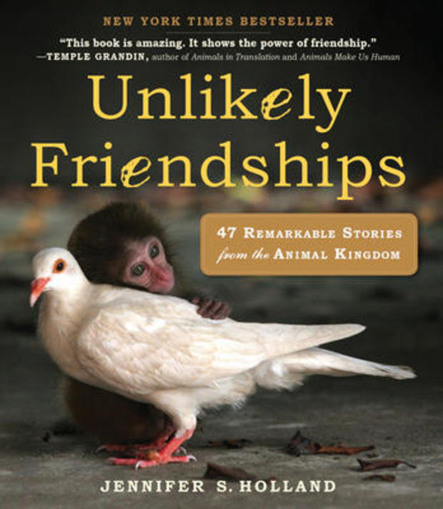 unlikely-friendships-cover-workman.jpg 