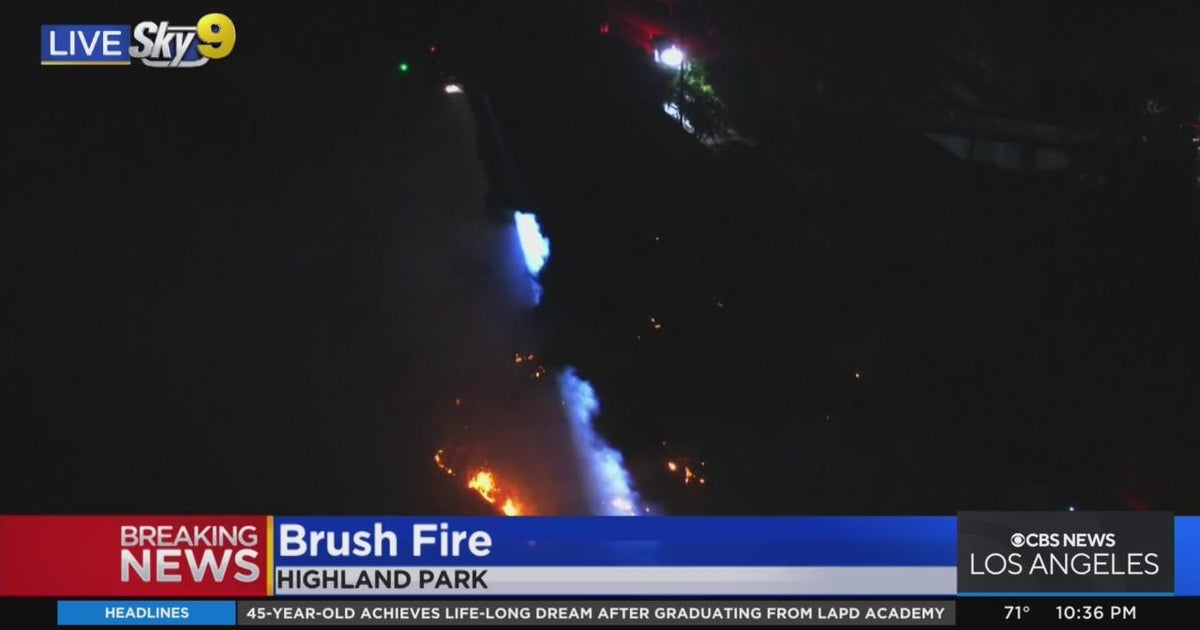 LAFD gets handle on brush fire bordering 110 freeway - CBS Los Angeles