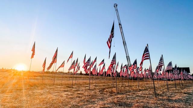 FIELD-OF-FLAGS.jpg 