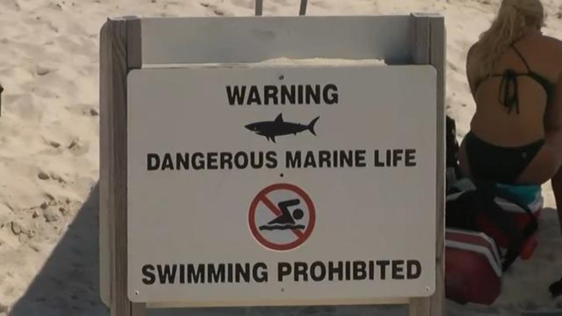 Serious Lifeguard Fish