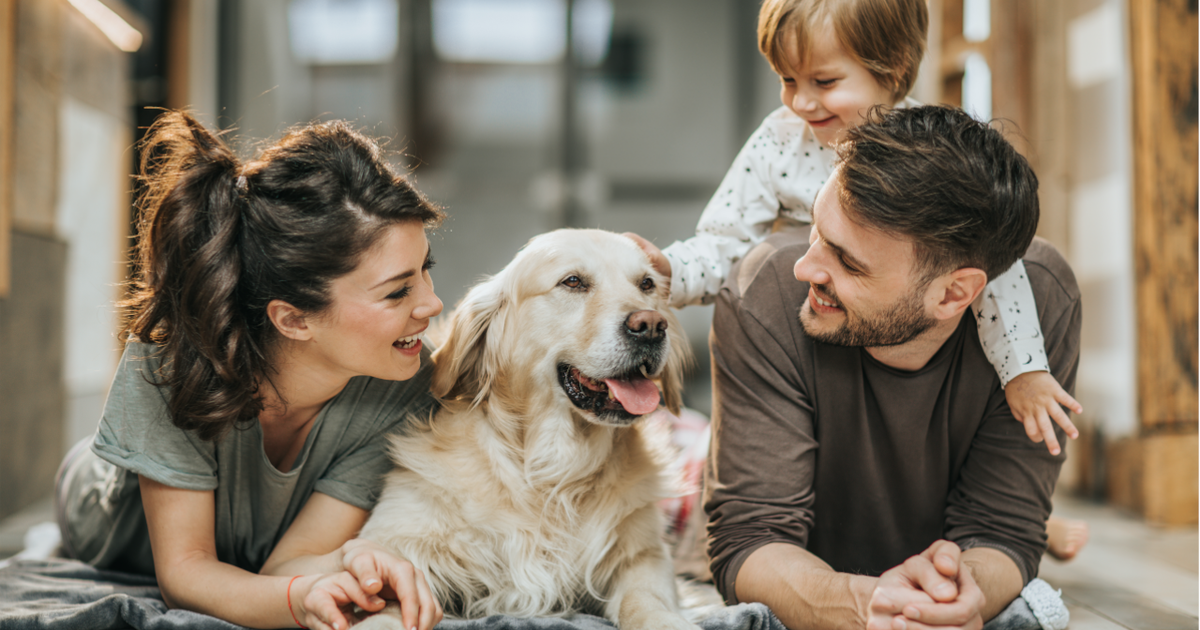 Petcube, Whistle GPS and more: The best early Amazon Prime Day 2022 pet deals - Vimarsana News
