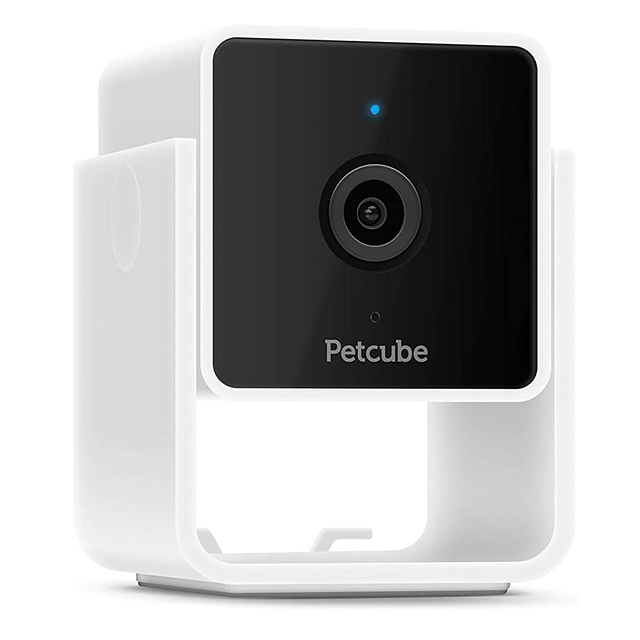 Petcube hotsell black friday