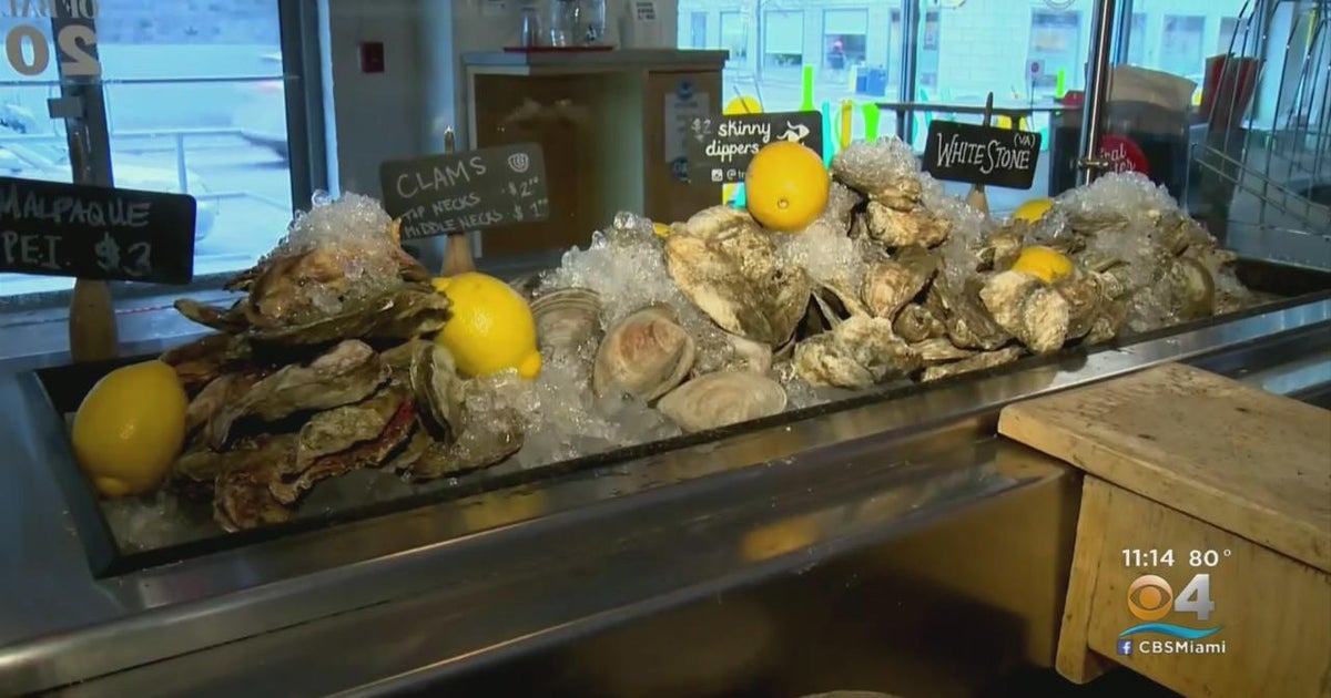 Scientists sample 156 Florida oysters, find dangerous "forever