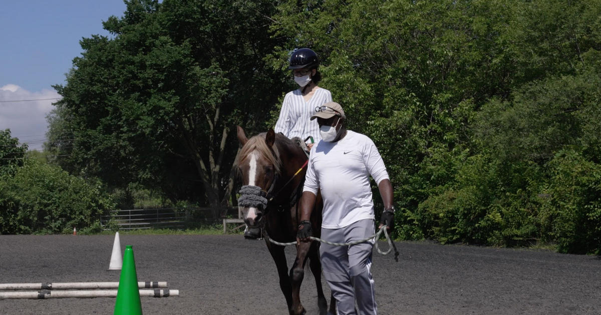 A horse farm in New York City? This one provides therapy to veterans and people with disabilities
