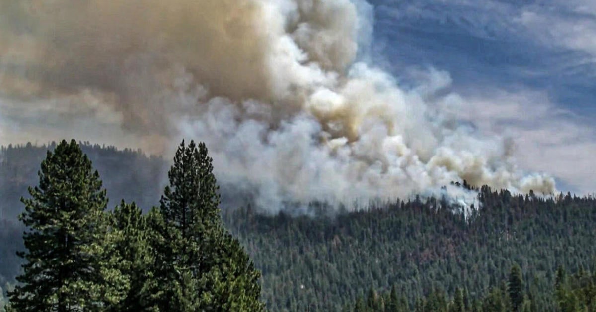 Washburn Fire smoke prompts air quality advisory for parts of Bay Area ...