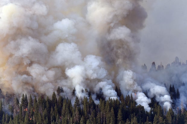 Wildfire in Yosemite National Park 