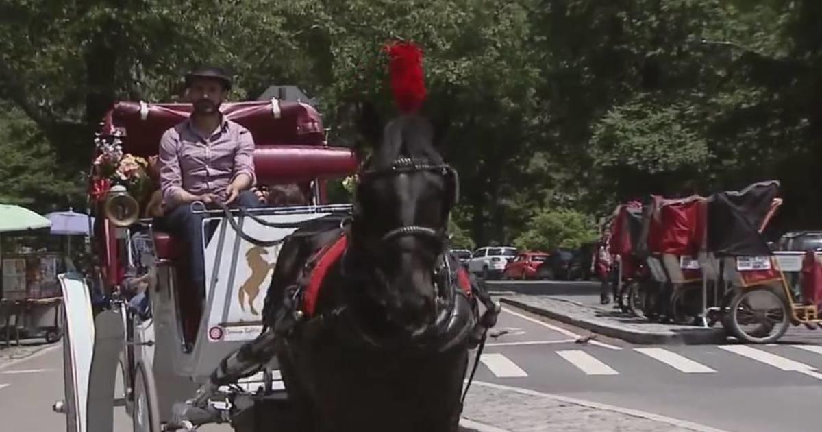 Chicago Bans Horse-Drawn Carriages Starting in 2021 - The New York