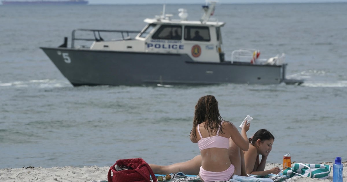 Why there are more shark sightings on Long Island