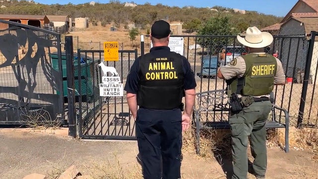 military-mutts-ranch.jpg 