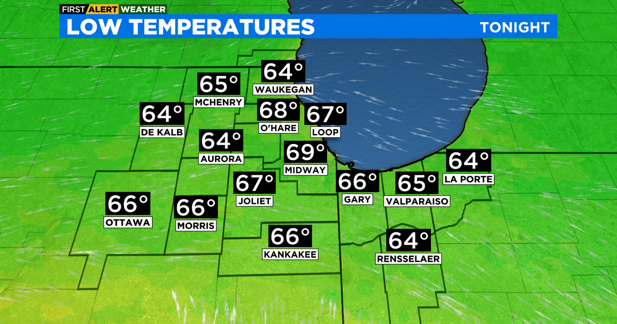 Chicago First Alert Weather: Patchy fog, light rain overnight - CBS Chicago