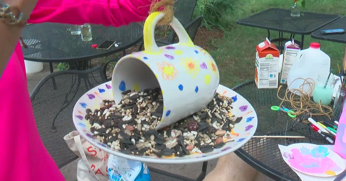 How to make bird feeders with your family CBS Minnesota